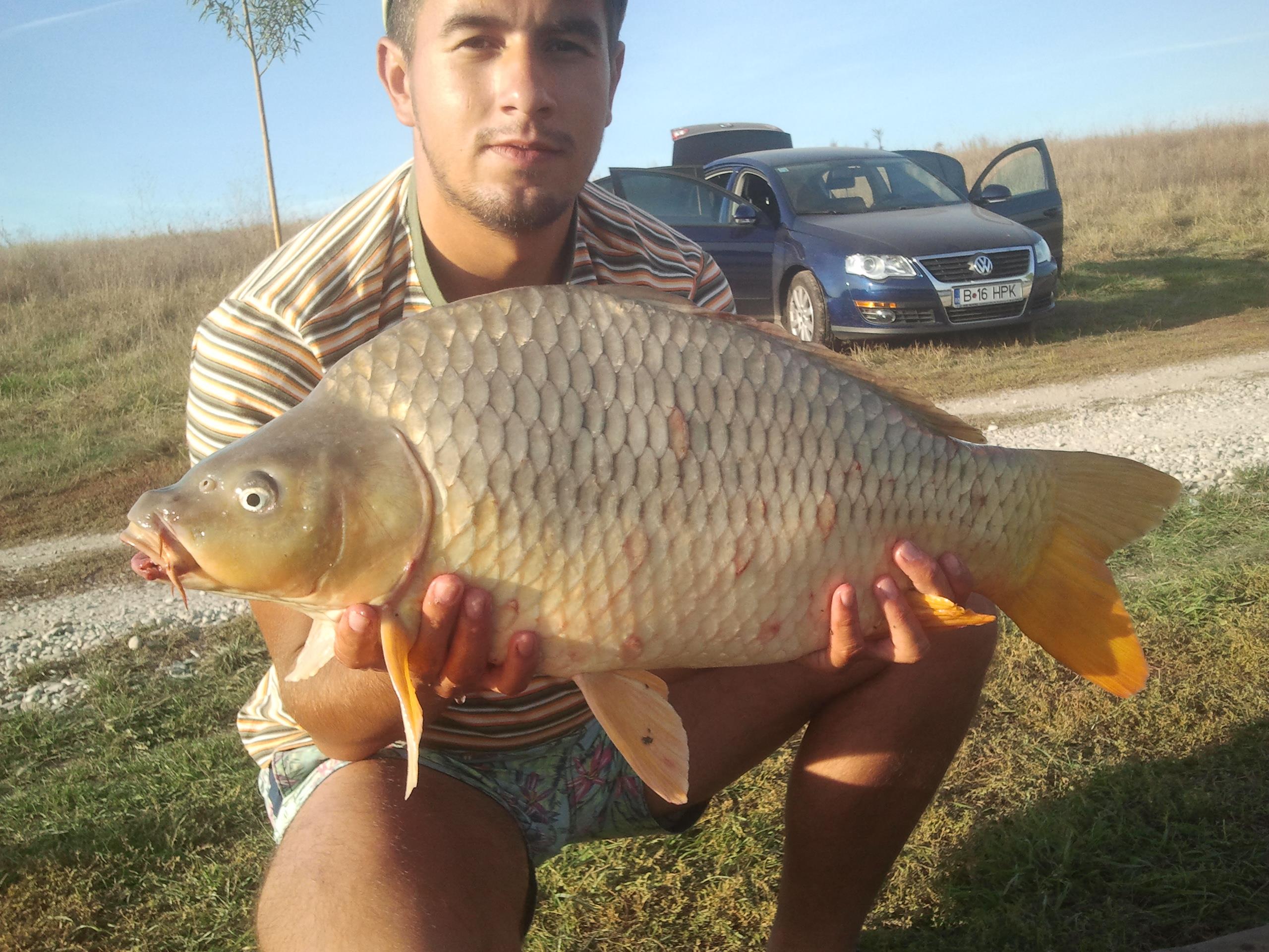 2012 - 2012-10-10 17.03.23.jpg